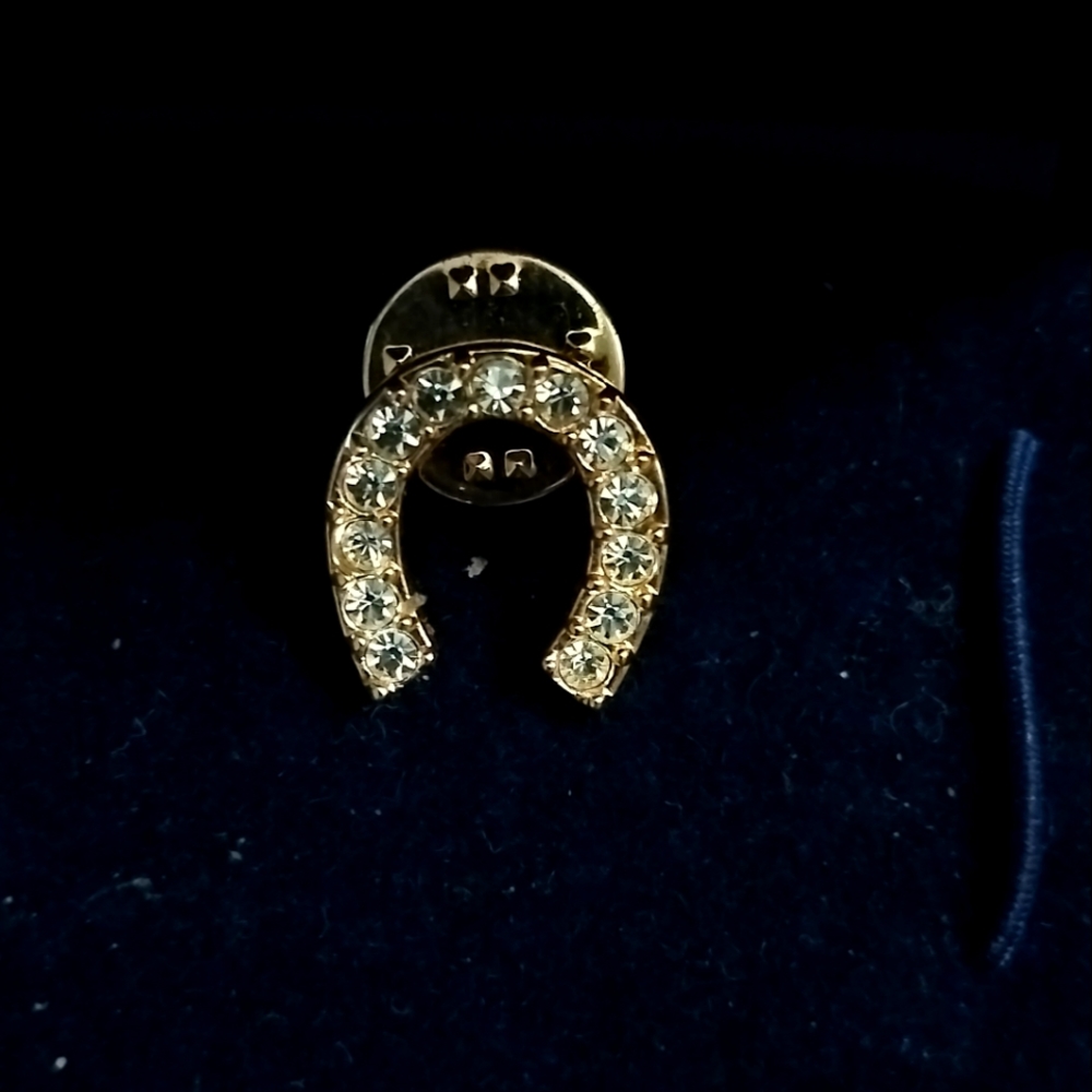 Jewelry Pin
